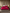 [Viini] SilkSilky-FI 19Momme Pure Silk Bedding Set 002