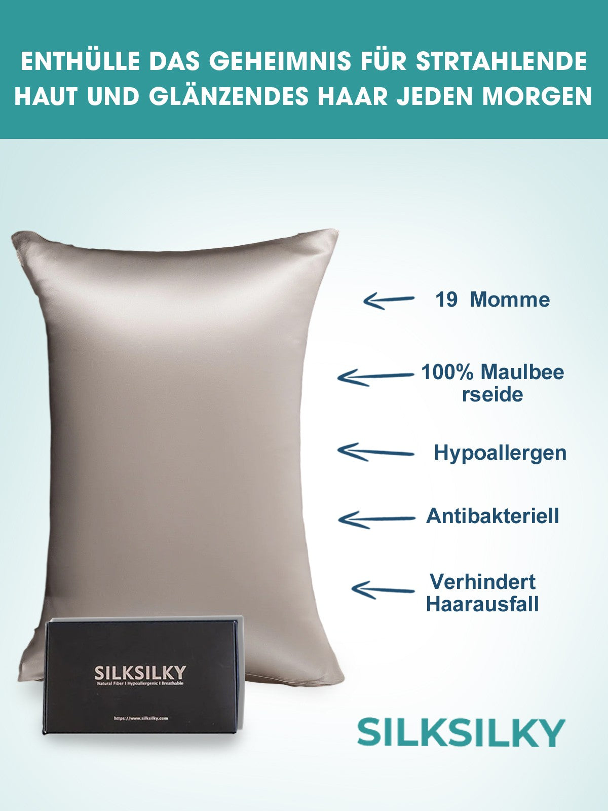 [Harmaa] SilkSilky-FI 19Momme Pillowcase 002
