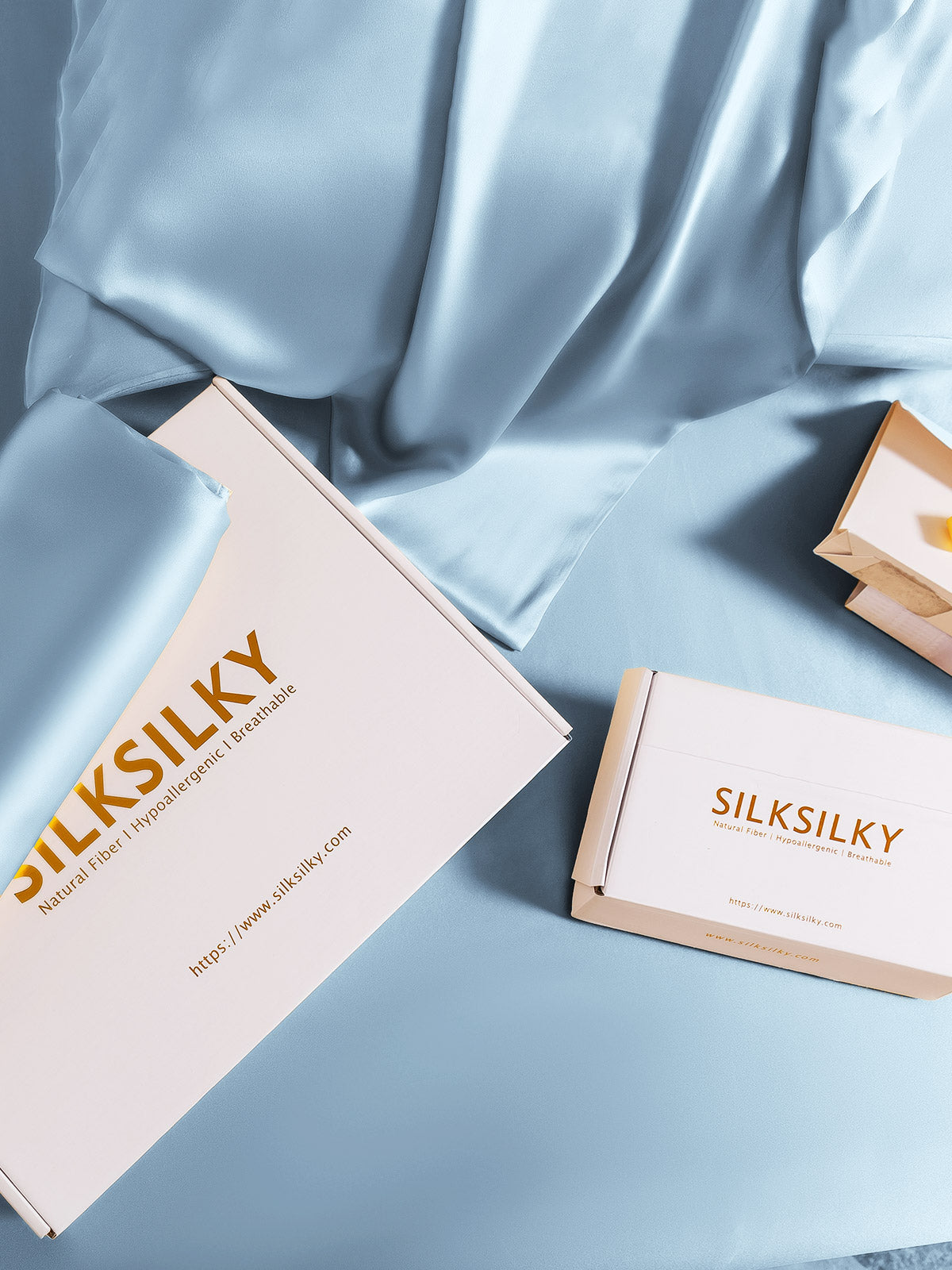 [Vaaleansininen] SilkSilky-FI 19Momme Pillowcase 007