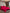 [Viini] SilkSilky-FI 19Momme Bedding Set 001