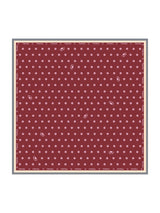 [Viini] SilkSilky-FI Scarf 001
